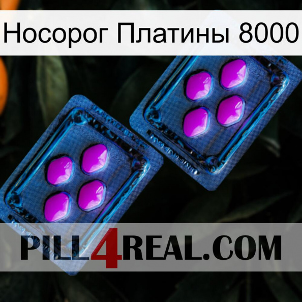 Носорог Платины 8000 03.jpg